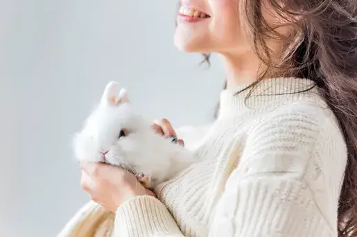 Czy sierść królika uczula? Oto, co musisz wiedzieć o alergenach