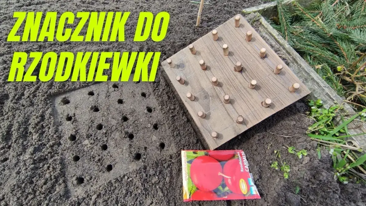 Jak zrobić znacznik do siania warzyw - proste kroki i porady