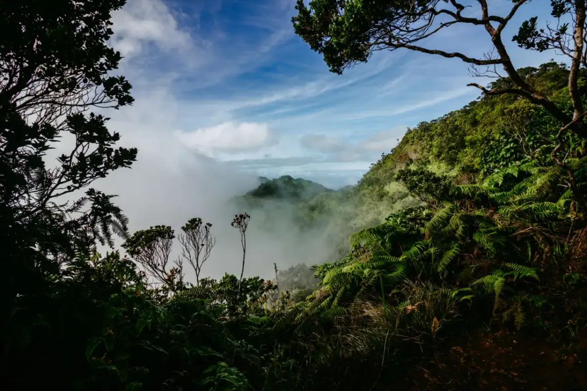 Hawaje najpiękniejsze miejsca, które musisz zobaczyć i zakochać się w nich