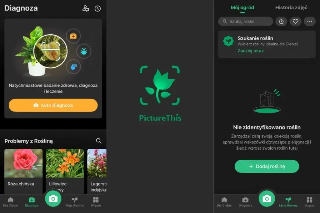 Jaka aplikacja rozpozna roślinę? Ranking darmowych i płatnych