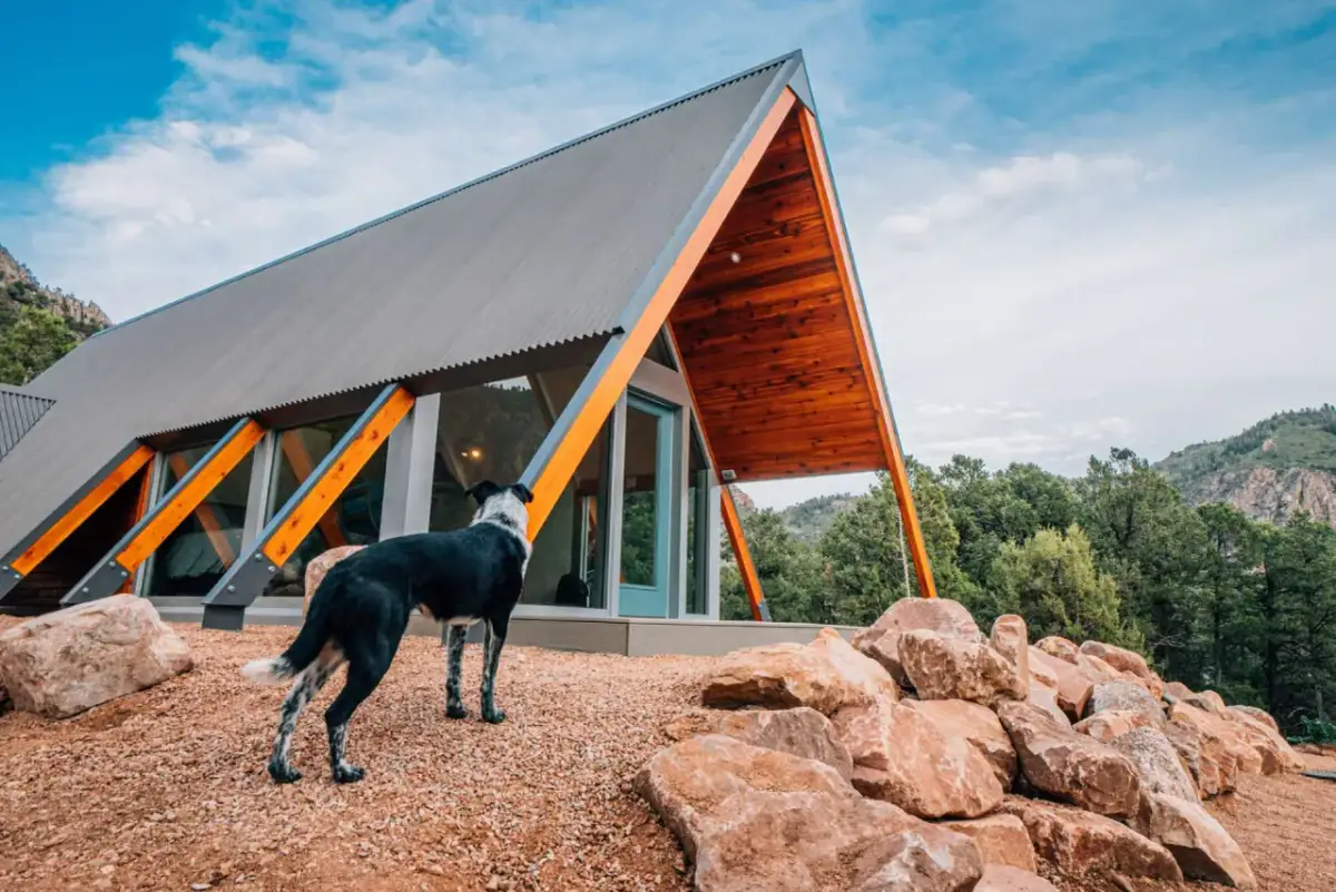 Myślę, że "Hotel z psem: przewodnik krok po kroku. Bezstresowy wyjazd!" będzie odpowiednim tytułem.