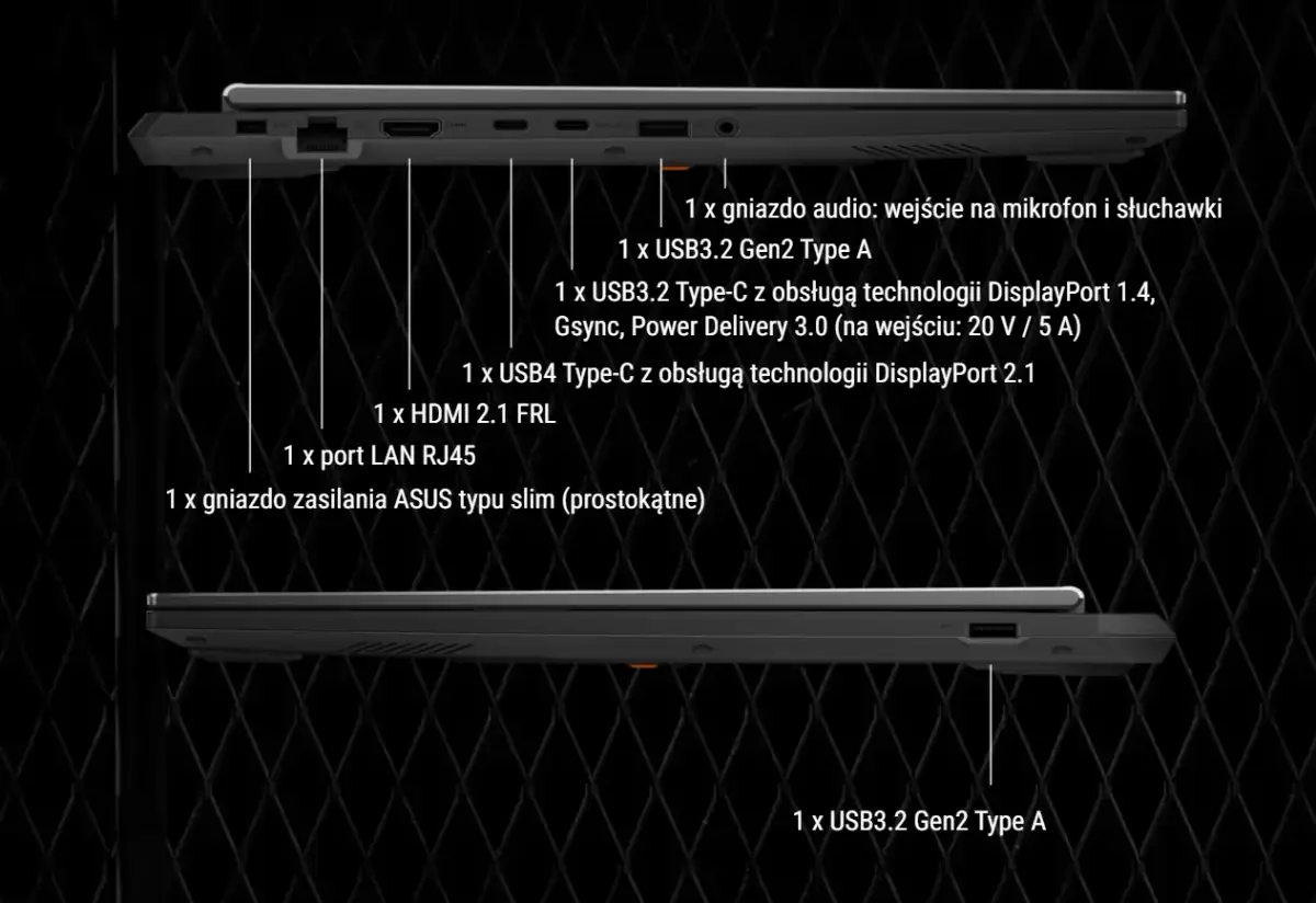 Myśli Kamil Górski: Idealne zabawki dla szczeniaka poradnik eksperta