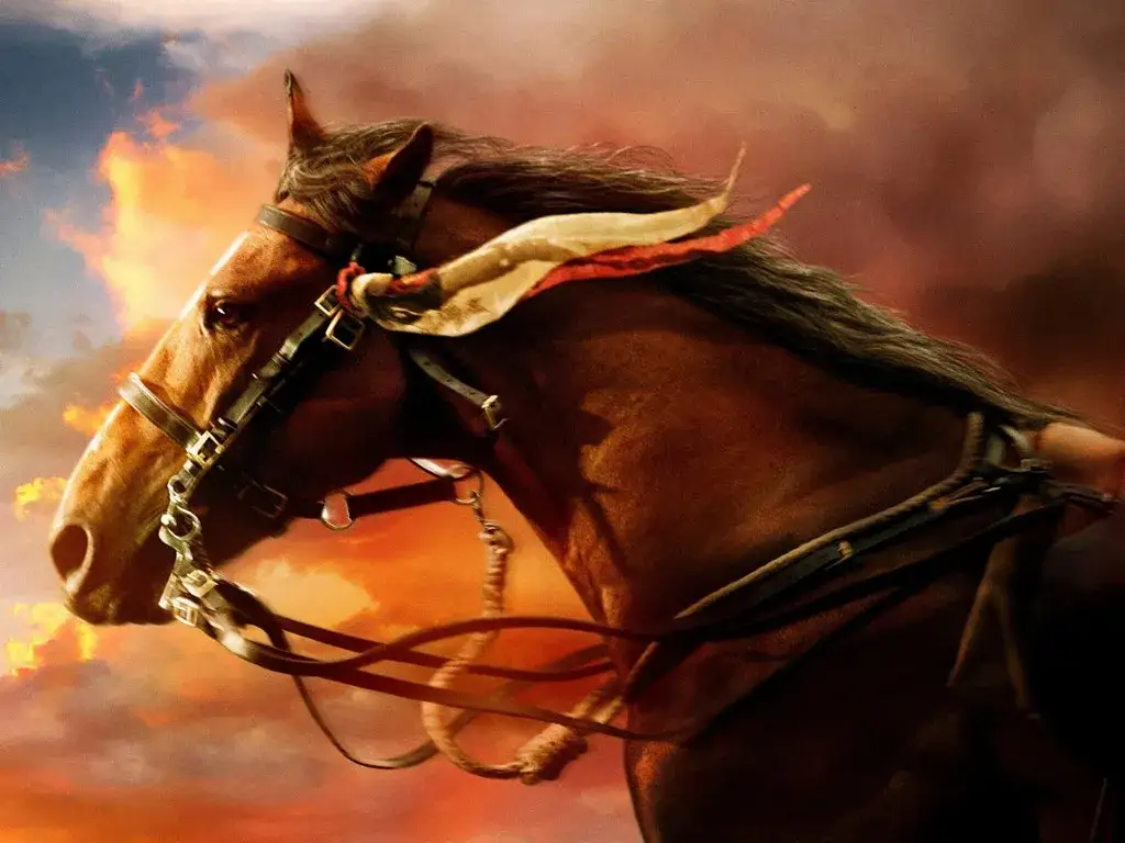 Najlepsze filmy o jeździectwie, które musisz zobaczyć i poczuć emocje