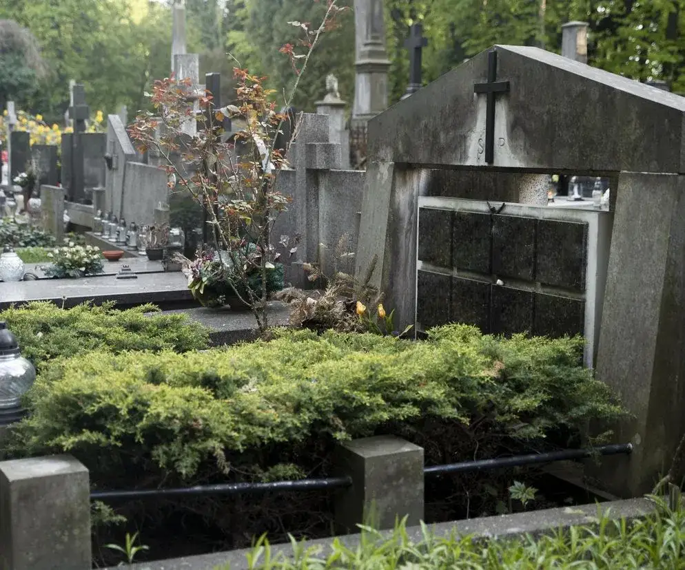 Jak usunąć chwasty na cmentarzu bez uszkadzania nagrobków