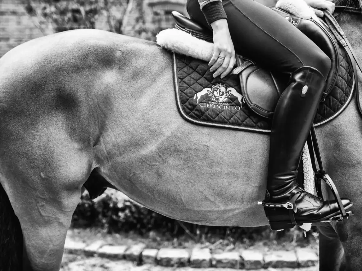 Stadnina koni Ciekocinko – najlepsze miejsce na jazdę konną i treningi