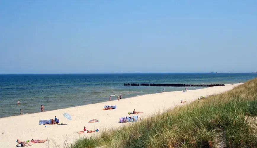 Najlepsze atrakcje w Grzybowie, które musisz zobaczyć na wakacjach