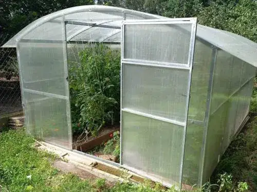 Szklarnia szklana czy poliwęglanowa? Wybierz idealną dla siebie!