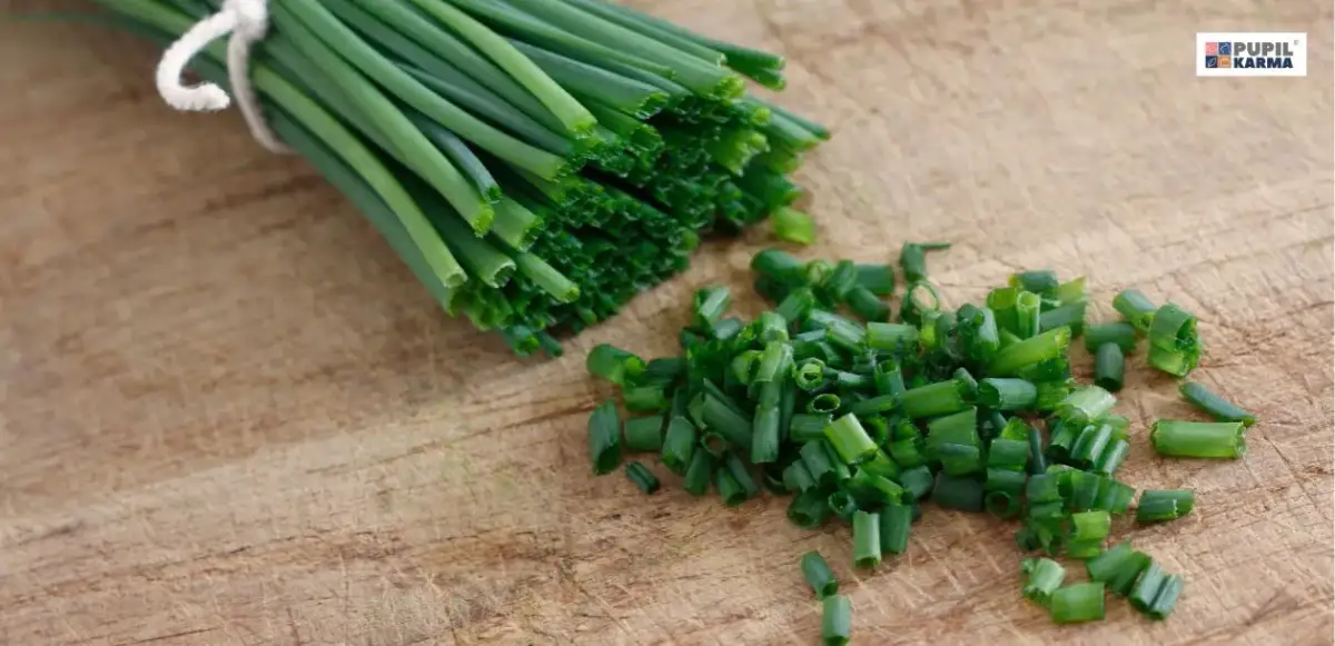 Czy kot może jeść szczypiorek? Toksyczność i objawy zatrucia