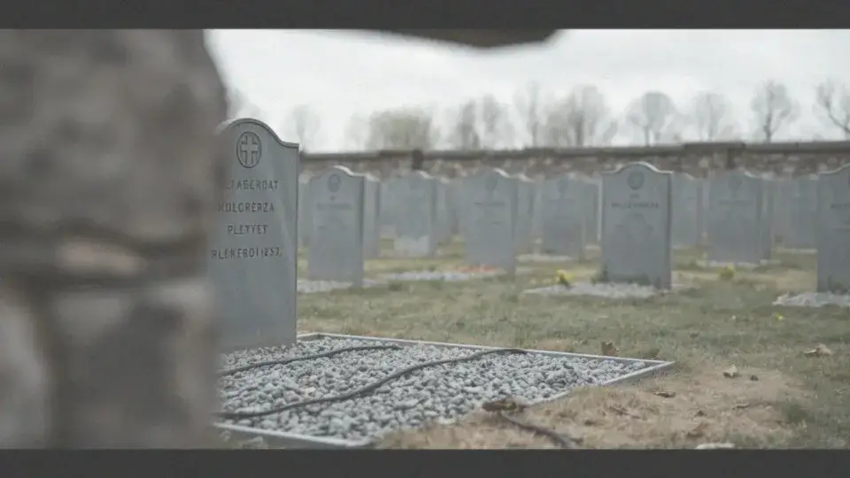 Jak sprawdzić datę pogrzebu w Kaliszu i uniknąć nieporozumień