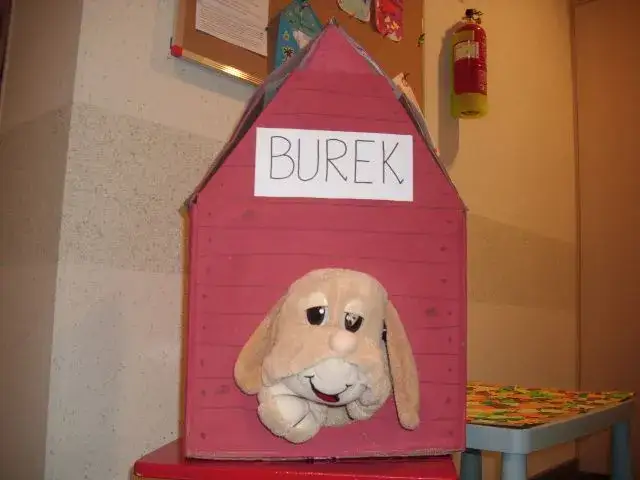 Jak zrobić budę dla psa z kartonu, aby zapewnić mu komfort i ochronę