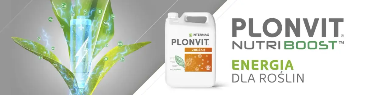 Kiedy stosować plonvit zboża? Sprawdź najlepsze terminy aplikacji