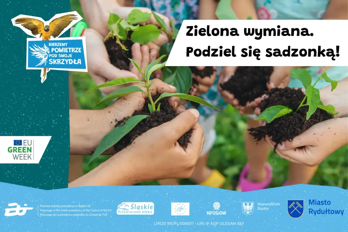 Rada osiedla: Jak realnie wpływać na swoją okolicę?