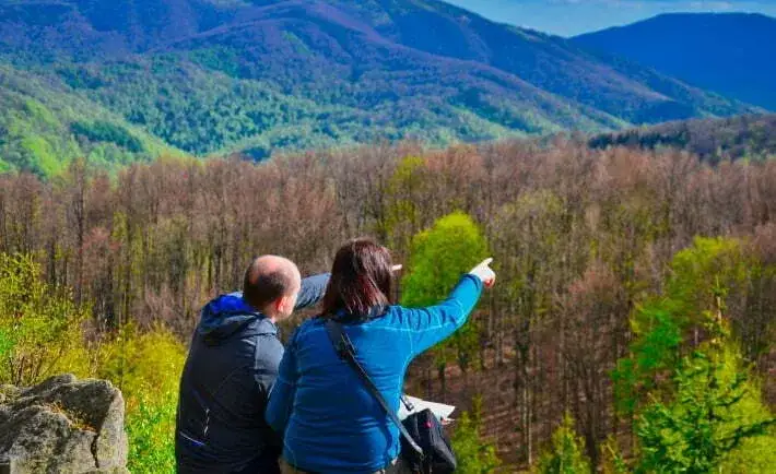 Najlepsze atrakcje w Lutowiskach, które musisz zobaczyć na własne oczy