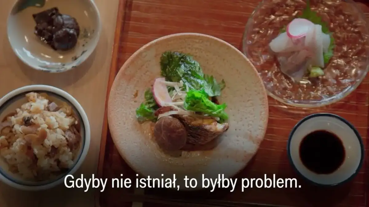 Z czego jest sos sojowy? Odkryj sekrety i wybierz najlepszy!