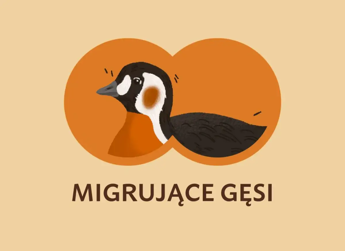 Dlaczego gęsi latają w kluczu? Sekrety aerodynamiki i współpracy