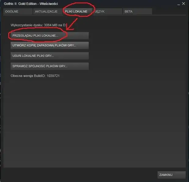 Spolszczenie Gothic 2 Noc Kruka: Jak ominąć problemy z językiem bez trudu