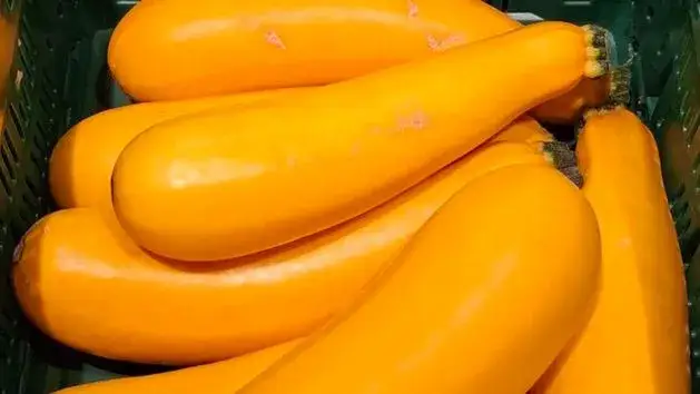 Czy cukinia jest dietetyczna? Odkryj jej niskokaloryczne zalety