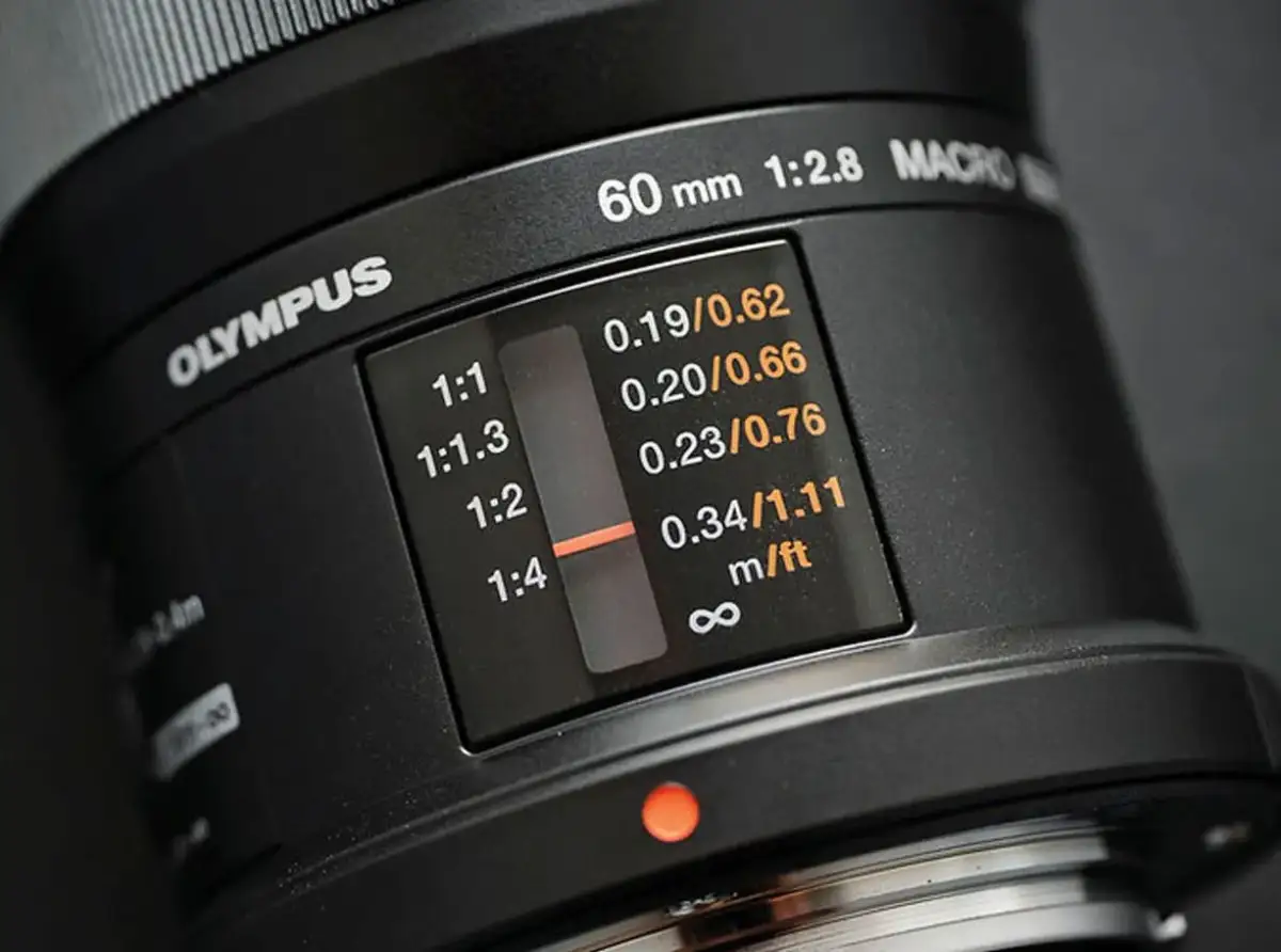 Obiektyw makro co to? Poznaj jego zalety i zastosowania w fotografii