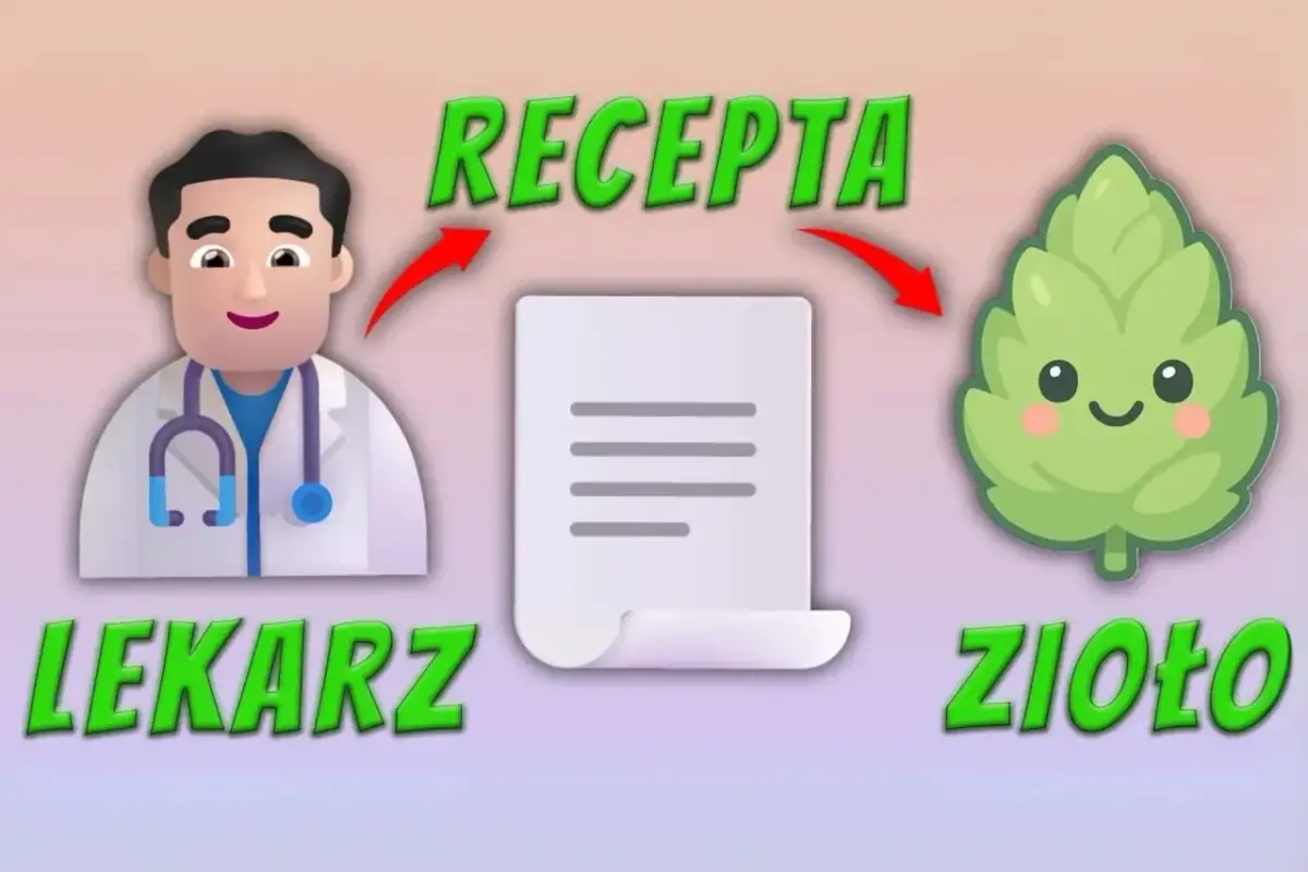 Gdzie po medyczną marihuanę? Poradnik krok po kroku w Polsce