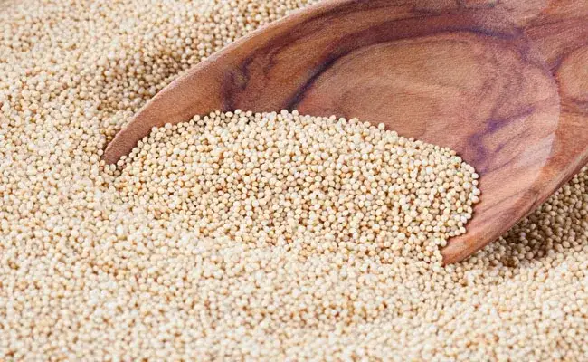 Amarantus - poznaj jego niezwykłe zastosowania i korzyści zdrowotne