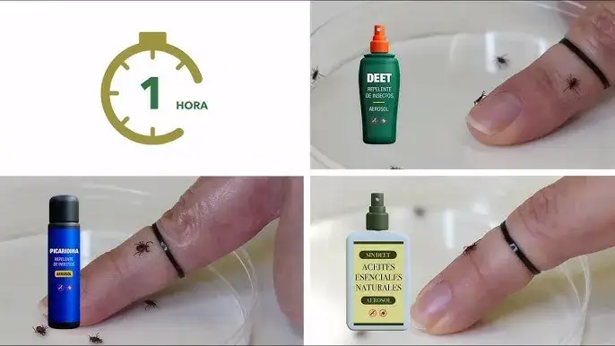 Con que fumigar garrapatas: métodos efectivos y productos seguros