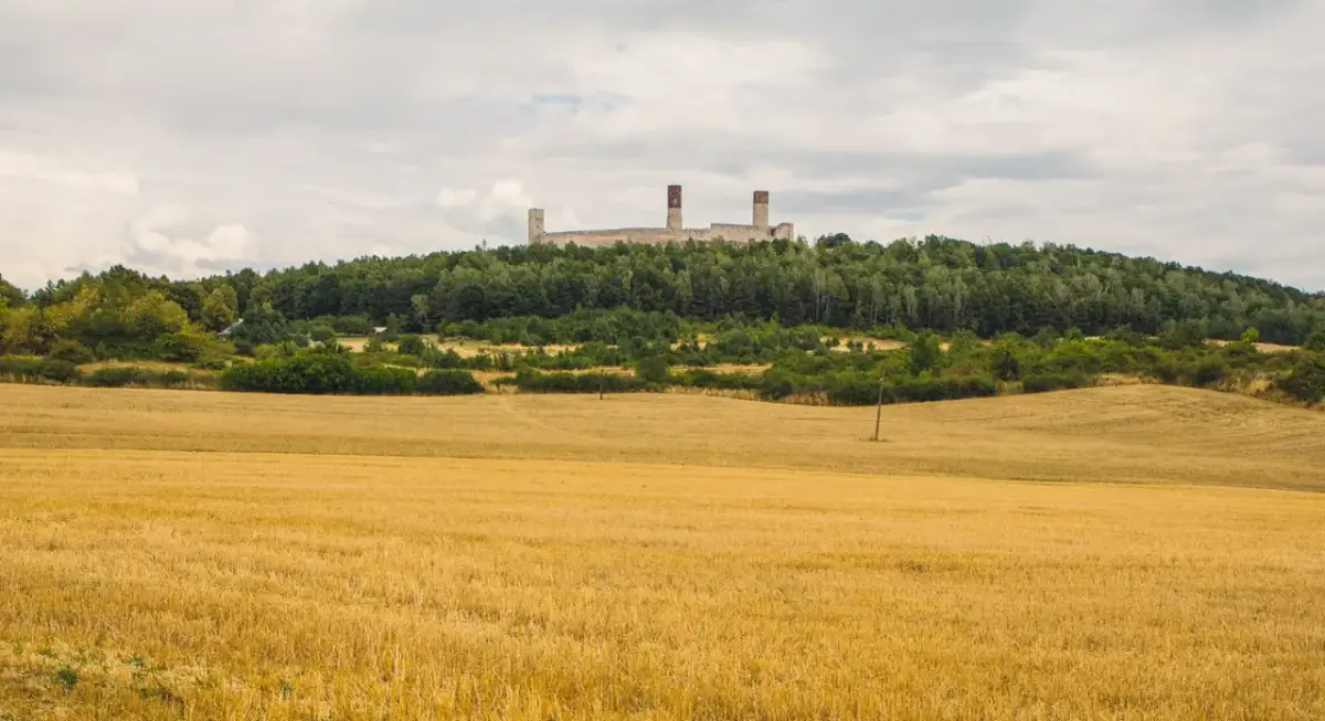 Świętokrzyskie na ekranie – odkryj filmy i seriale kręcone w regionie
