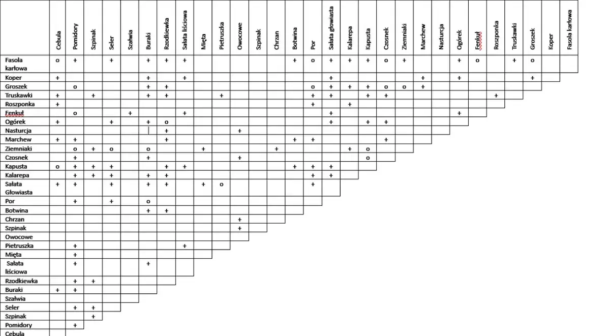Dobre sąsiedztwo warzyw: Tabela, która zwiększy Twoje plony