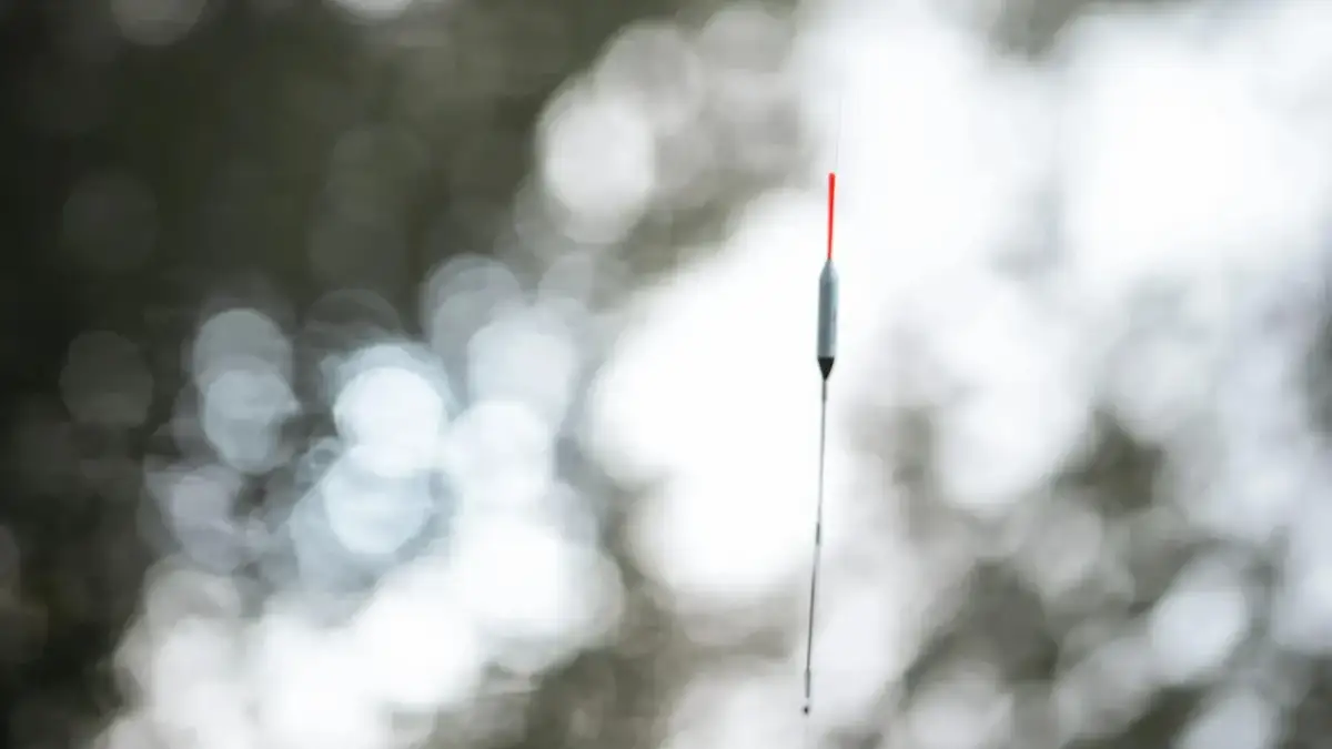 Szary spławik wędkarski z czerwoną końcówką na tle rozmytych liści.