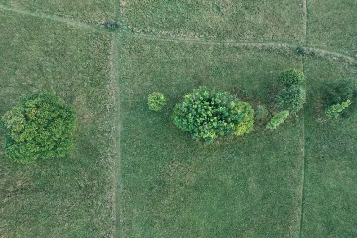 Czy działka to nieruchomość? Zrozumienie kluczowych różnic prawnych