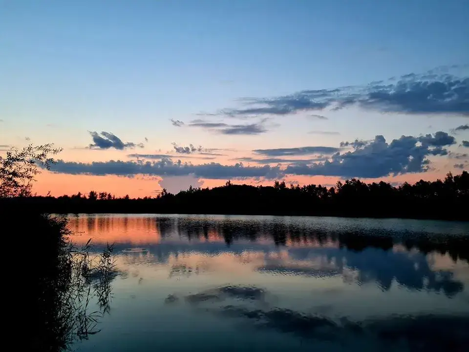 Dzika Woda sportowe łowisko karpiowe - idealne miejsce na wędkowanie