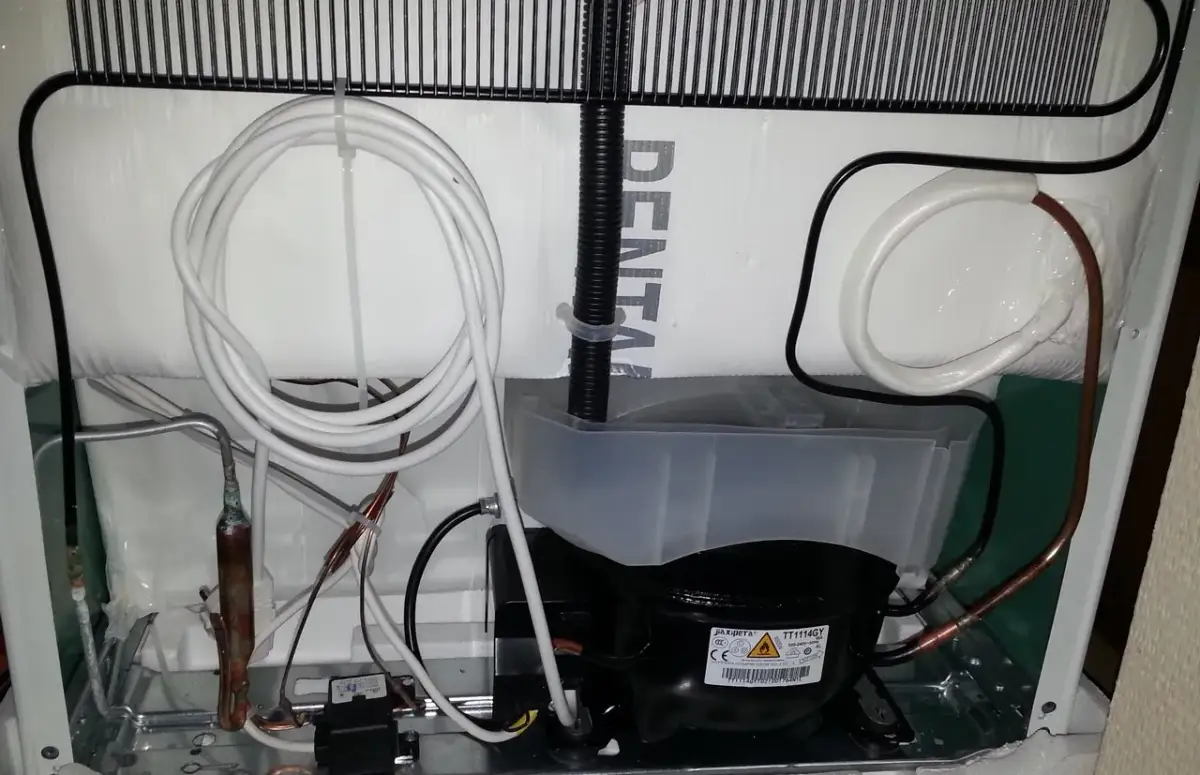 Gdzie jest skraplacz w lodówce? Znajdź, wyczyść i obniż rachunki!