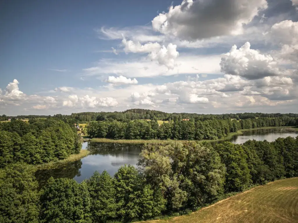 Jezioro Janowskie - raj dla wędkarzy i miłośników przyrody