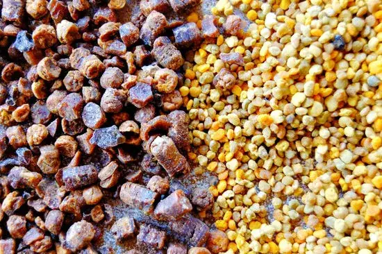 Jak zażywać pierzgę? Maksymalizuj efekty dawkowanie i metody