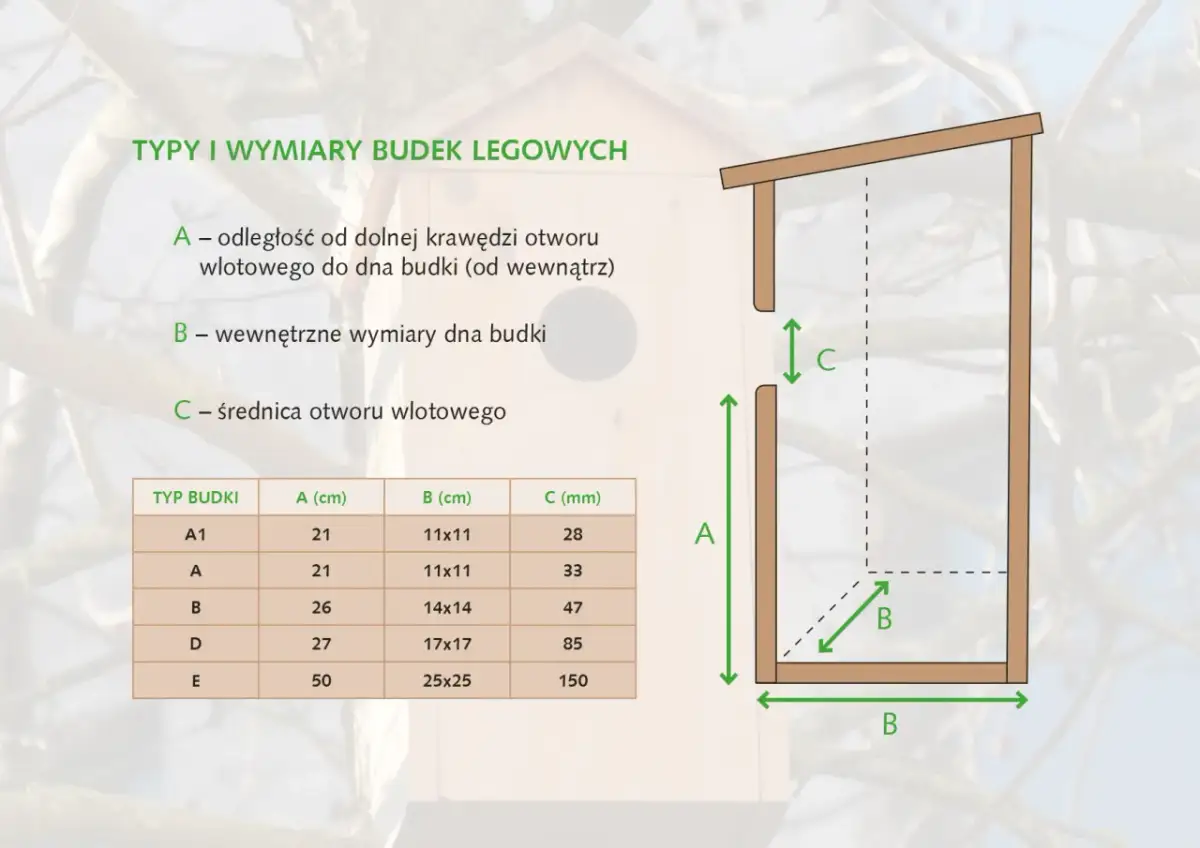 Wymiary budki lęgowej dla sikorki bogatki: Klucz do udanego lęgu