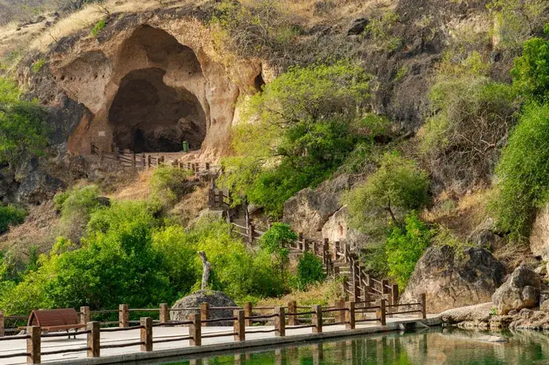 Najlepsze atrakcje w Salalah, które musisz zobaczyć podczas wizyty
