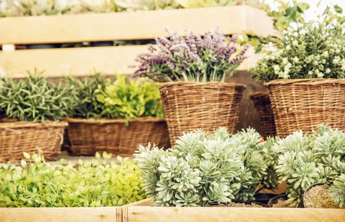 10 kreatywnych sposobów na wykorzystanie kosza wiklinowego w ogrodzie