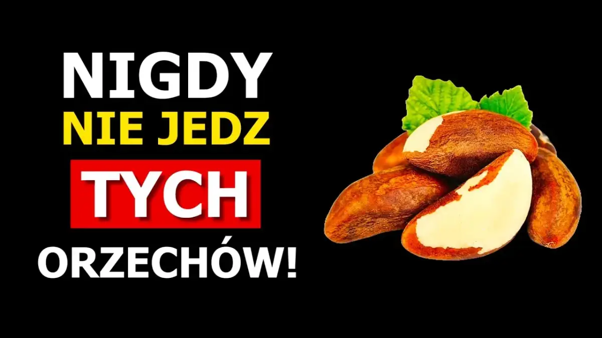 Czy koty mogą jeść nerkowce? Prawda o ryzyku i bezpiecznych przysmakach