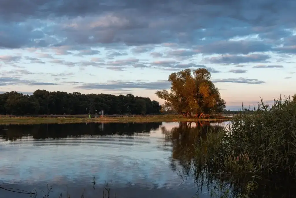 Jaka rzeka płynie przez Szczecin? Odkryj tajemnice Odry i jej znaczenie