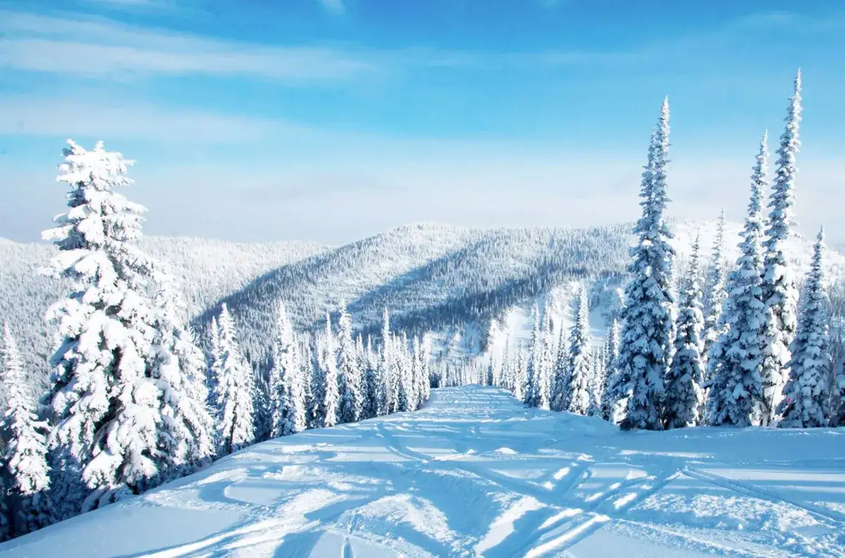 Gdzie na sanki z dzieckiem w Dolnośląskiem? Bezpieczne miejsca na zimę