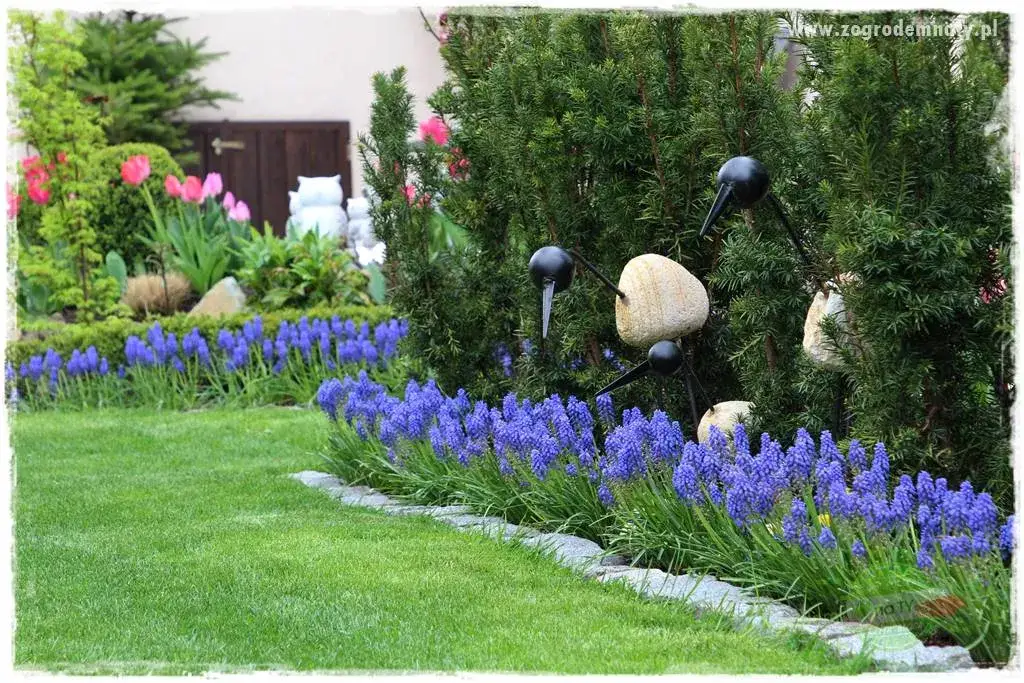 Wiosenne cebulki kwiatowe: Sadzenie, terminy i porady dla pięknego ogrodu