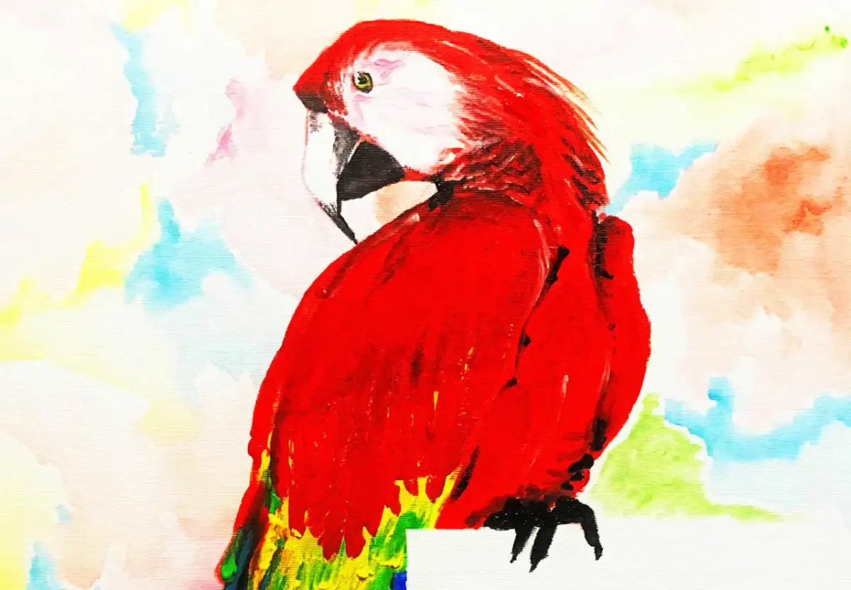 Jak narysować papugę? Odkryj swój talent krok po kroku!