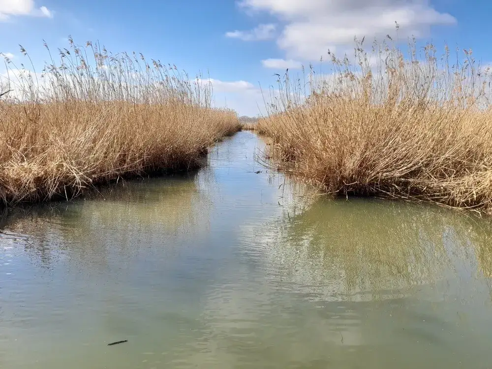 Jezioro Berzyńskie – piękne miejsce na wypoczynek i przygodę w naturze