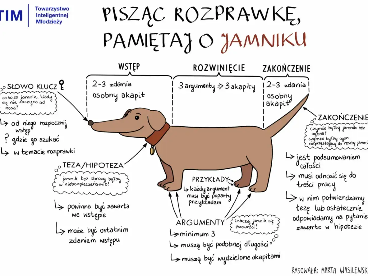 Ilustracja jamnika z opisem struktury rozprawki: wstęp, rozwinięcie, zakończenie.