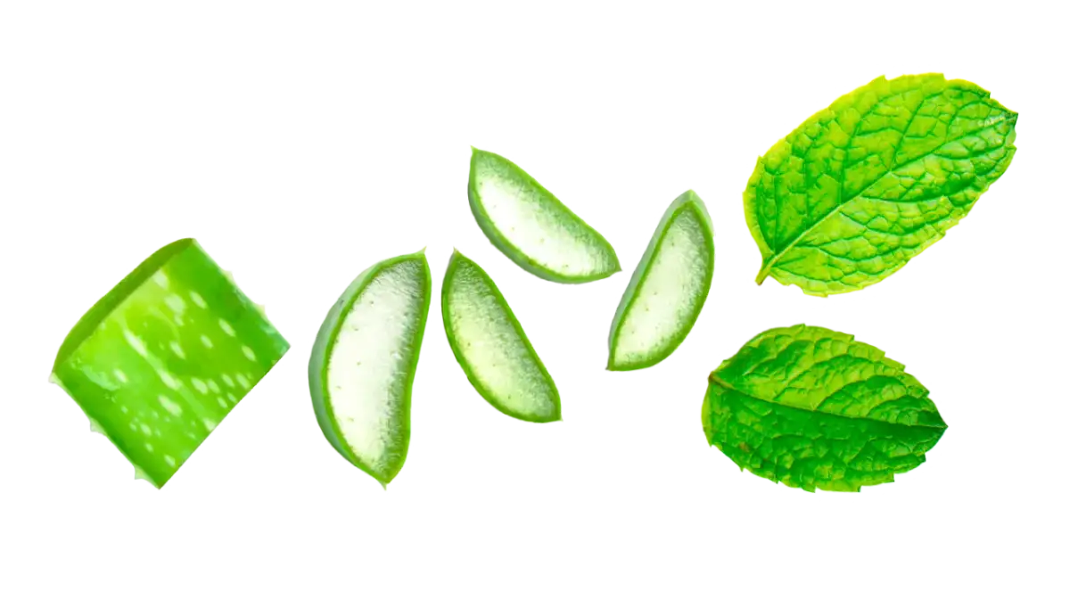 Skuteczne sposoby na ból dziąseł: domowe remedia i porady dentystyczne