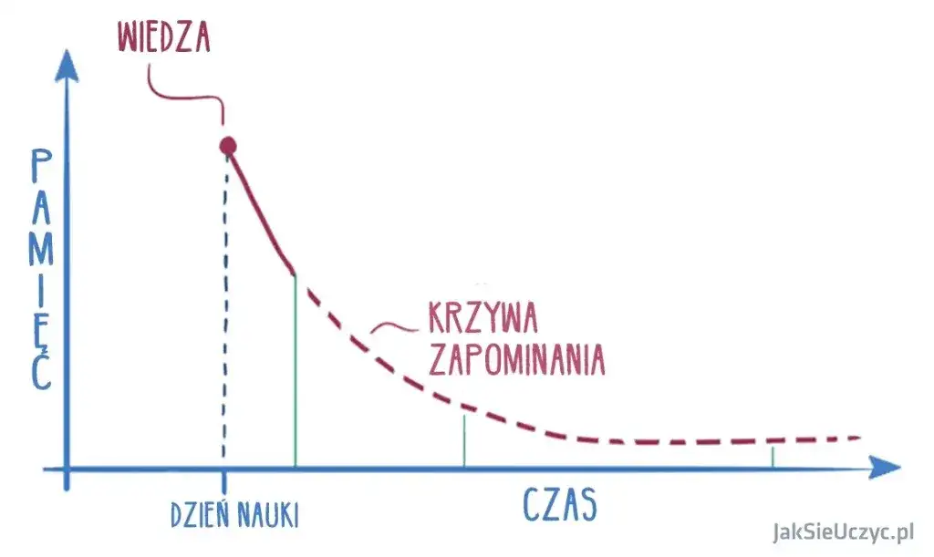 Jak uczy się mózg? Odkryj sekrety efektywnej nauki i pamięci