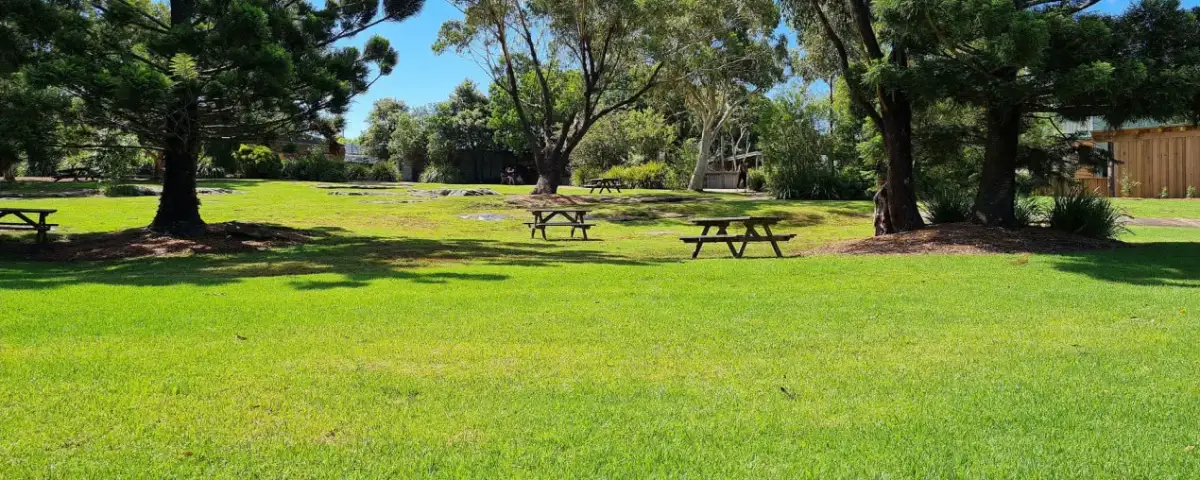 Sadzenie trawy kiedy - najlepsze terminy dla zdrowego wzrostu