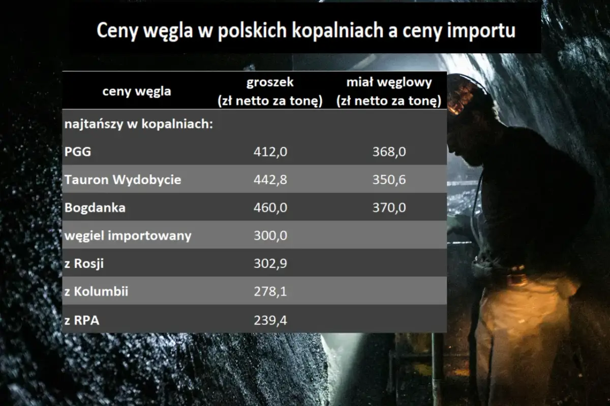 Ceny węgla Tauron – Cennik i aktualne ceny wydobycia węgla w Polsce