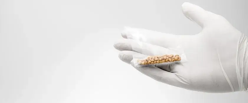 Jakie leki na kamienie w woreczku żółciowym mogą naprawdę pomóc?