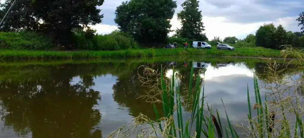 Łowisko Haruś – idealne miejsce na wędkarskie przygody w Pszczynie