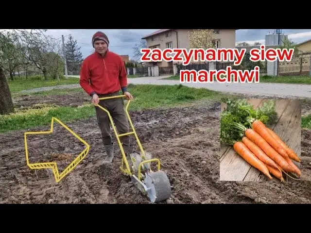 Jak zrobić redliny na działce - uniknij błędów i stwórz idealne rzędy